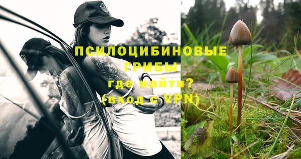 марихуана Белокуриха