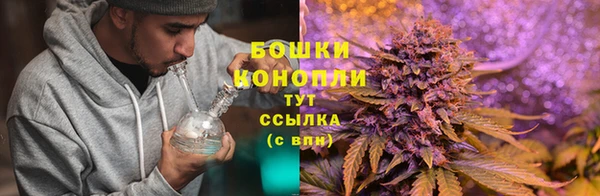 стаф Белоозёрский