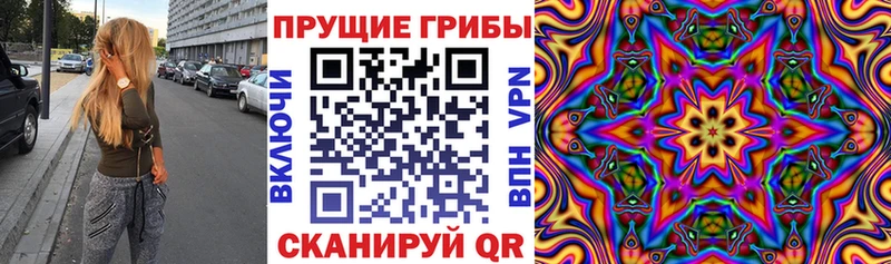 купить  сайты  mega ссылка  Псилоцибиновые грибы Psilocybe  Краснослободск 